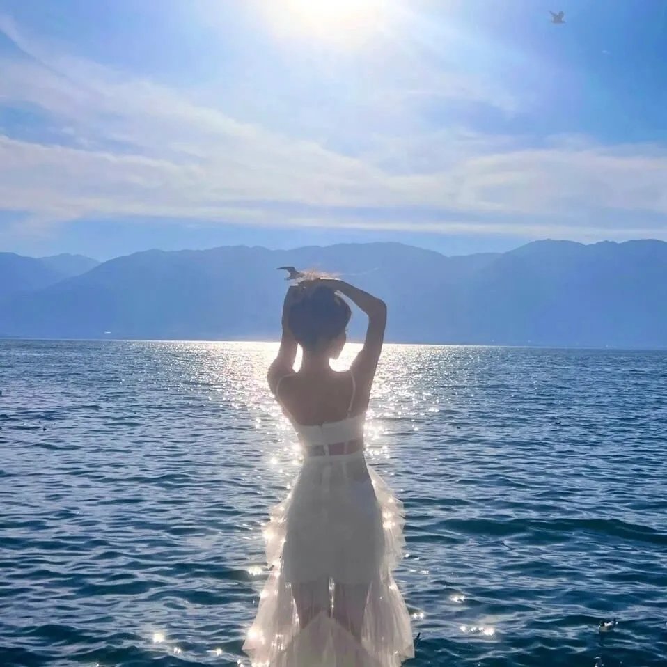 寻芳浪蝶
