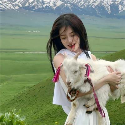 黑猫重案组